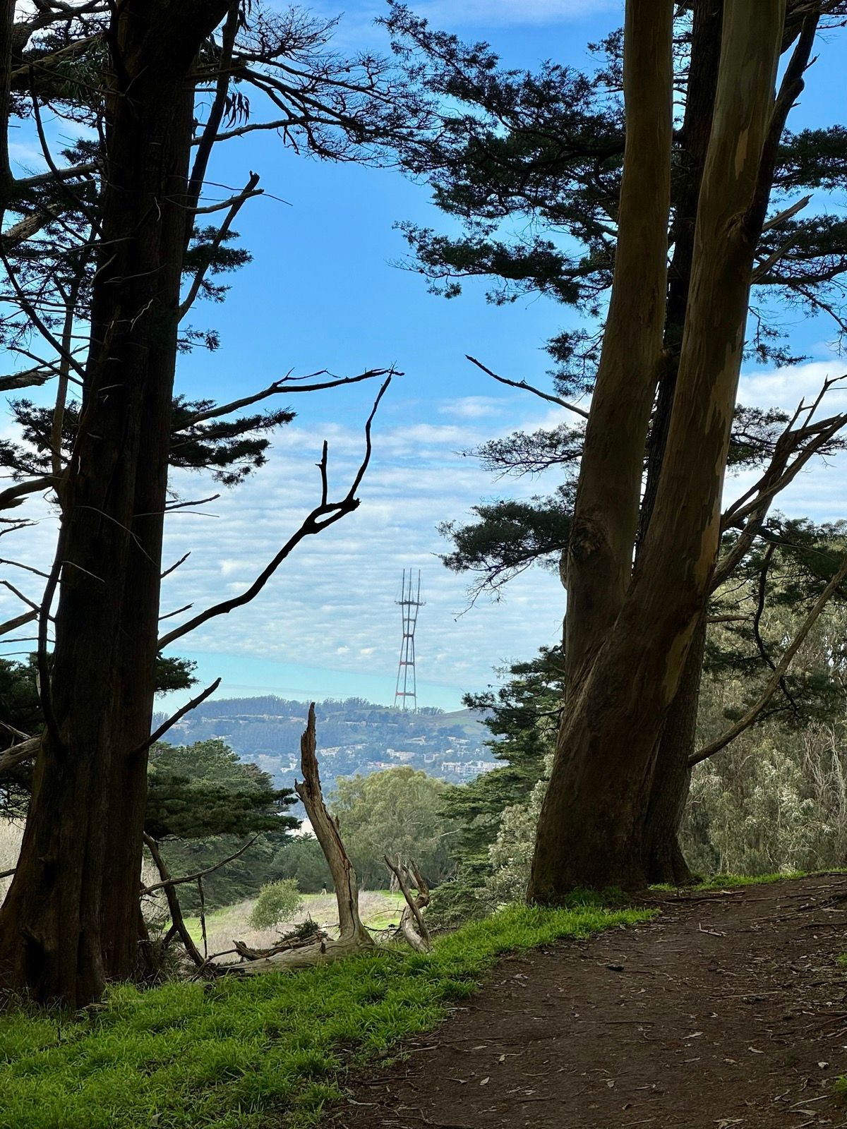 Afternoon Walk