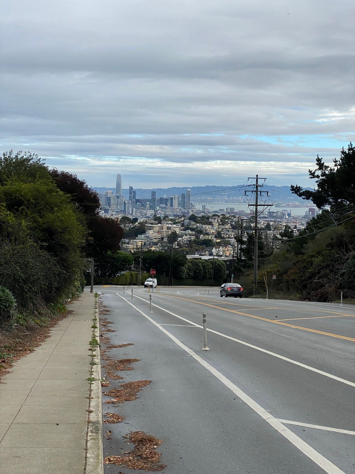 Morning Walk