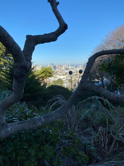 crazy route to tag a bunch of short, dead end, and heavy traffic roads, almost fully walked noe valley now