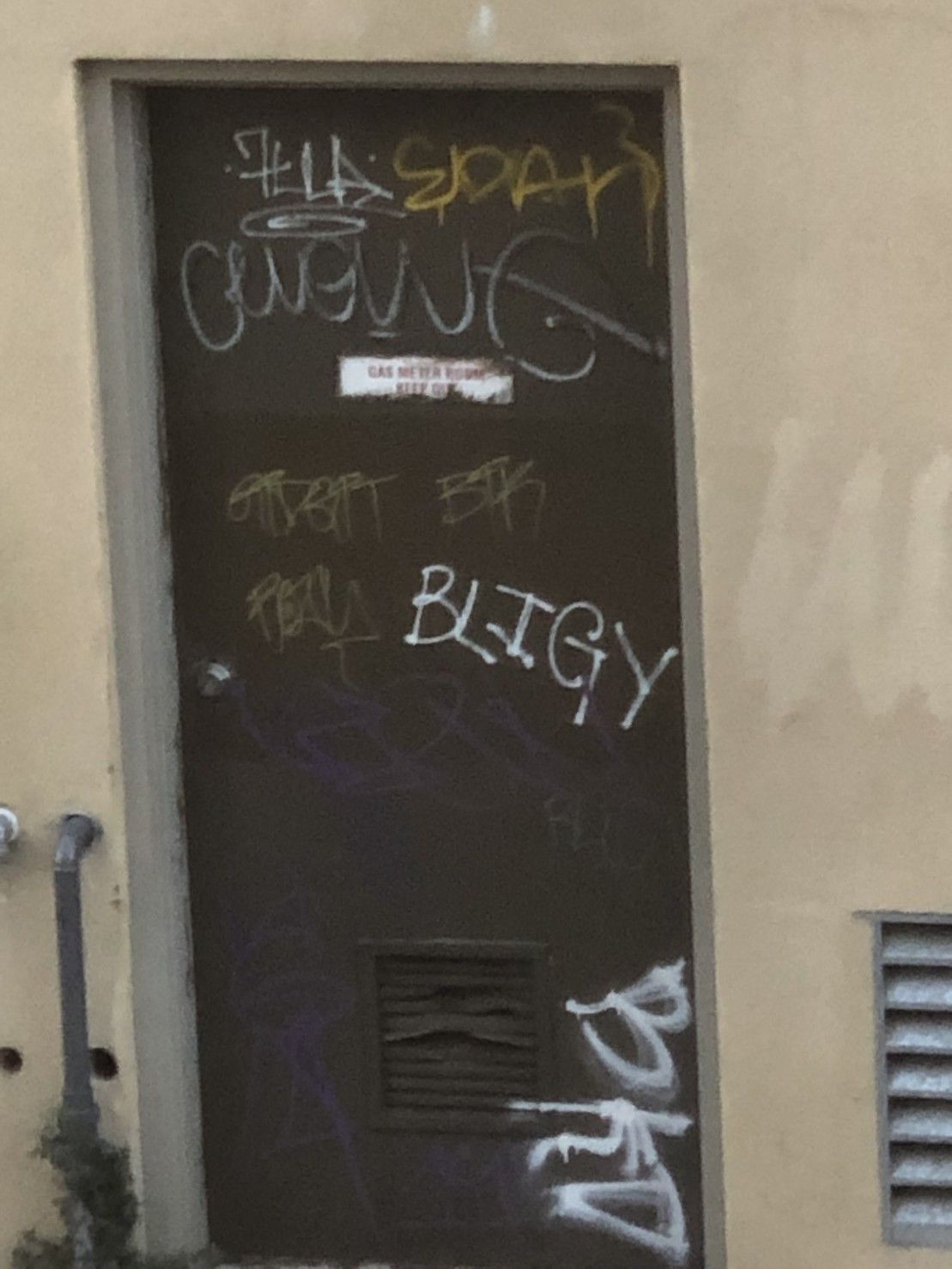 tags on a green door by BLIGY, 7LLA, EBAN, BKO, and others