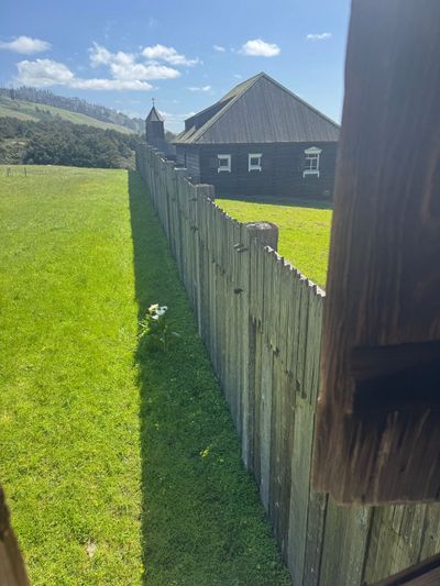 Afternoon Walk