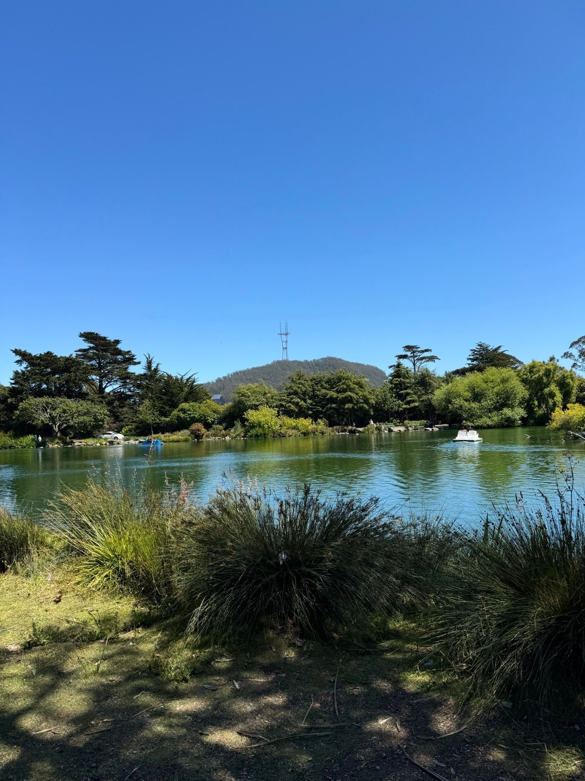 Afternoon Walk