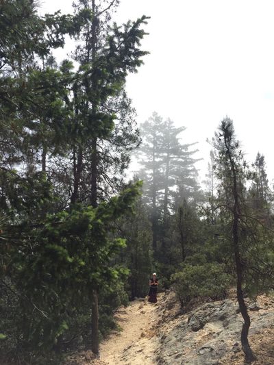 Mt St Helena