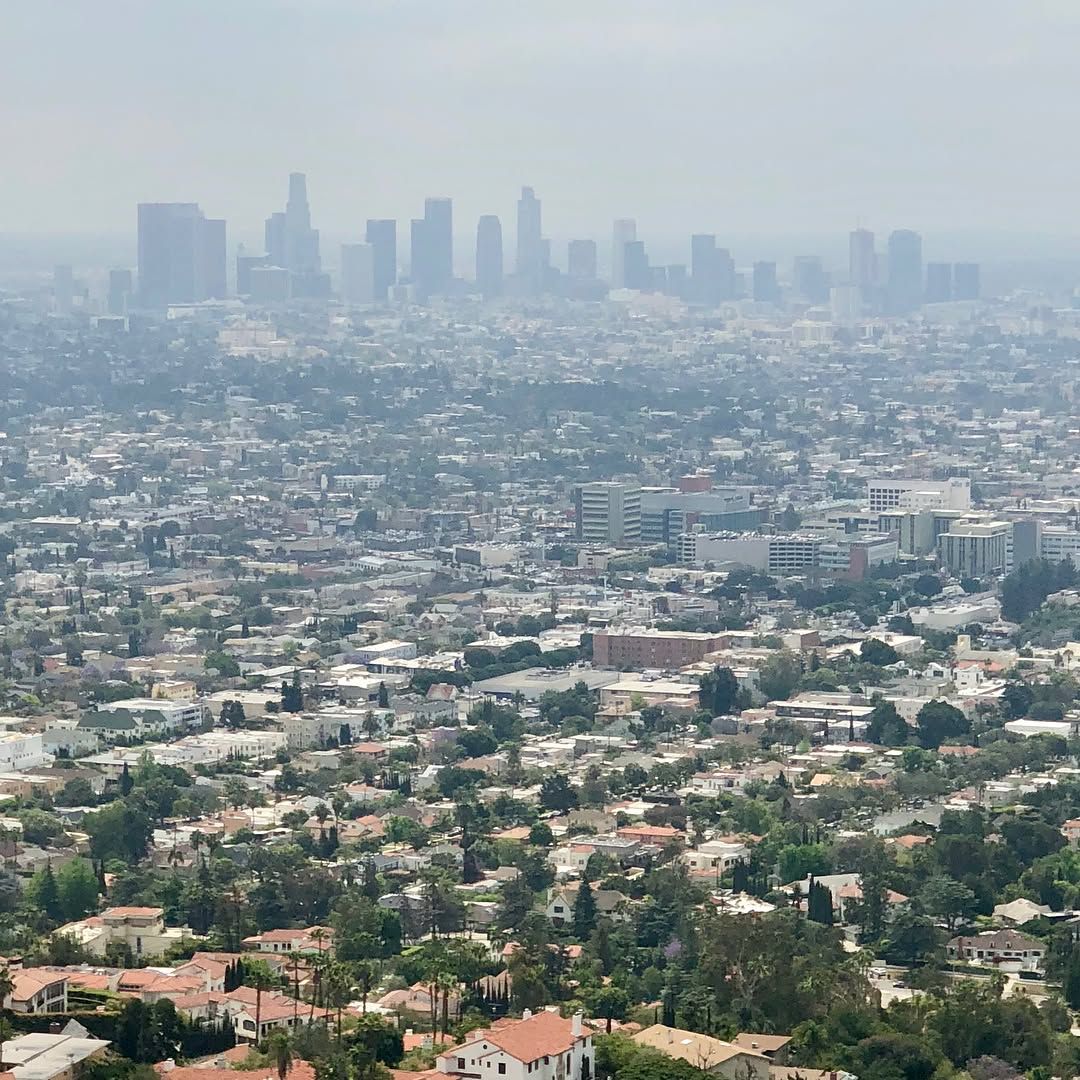 ✅ HOLLYWOOD