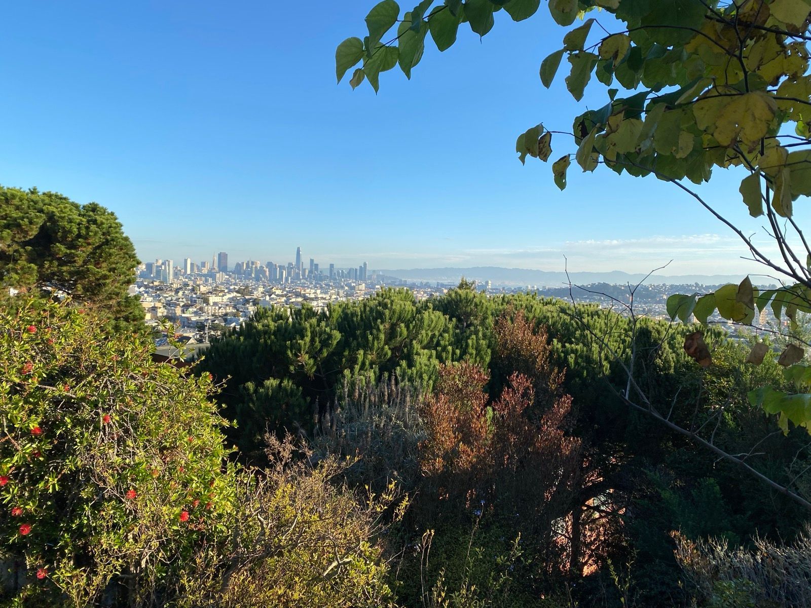 Morning Walk