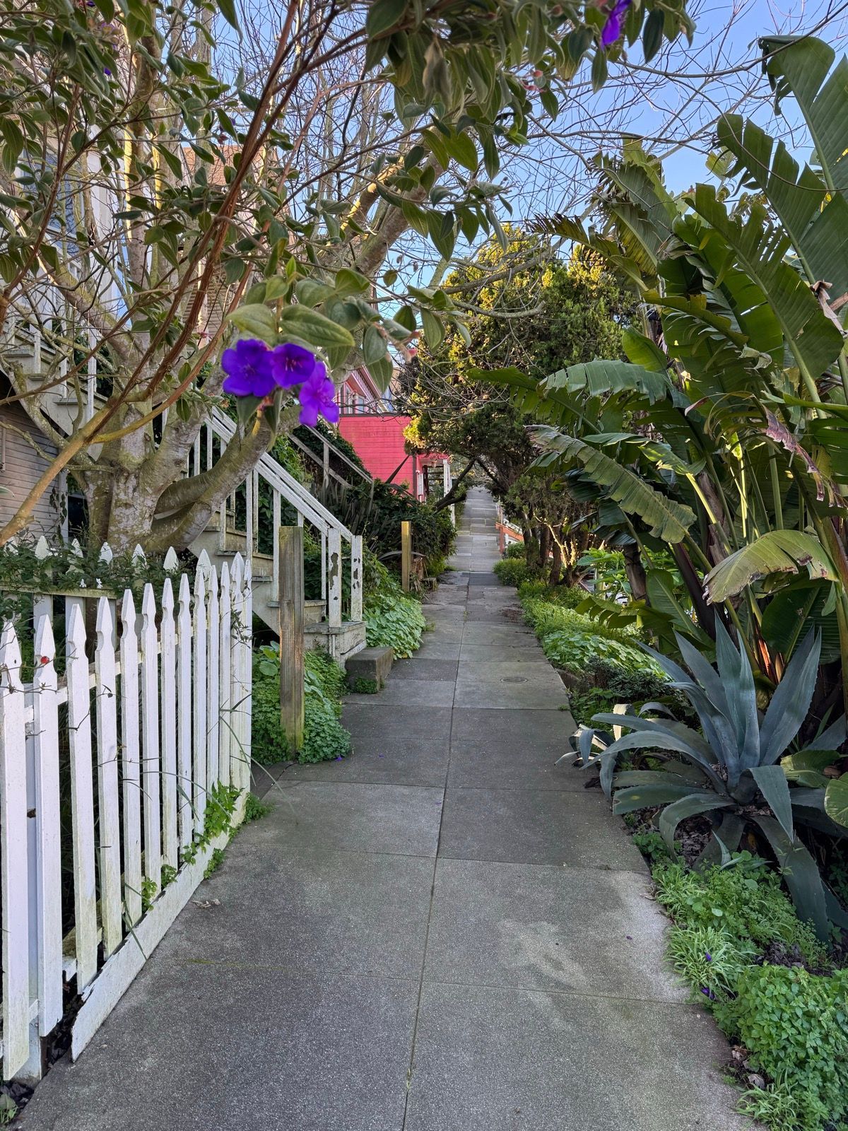 Morning Walk