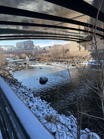 Afternoon Walk