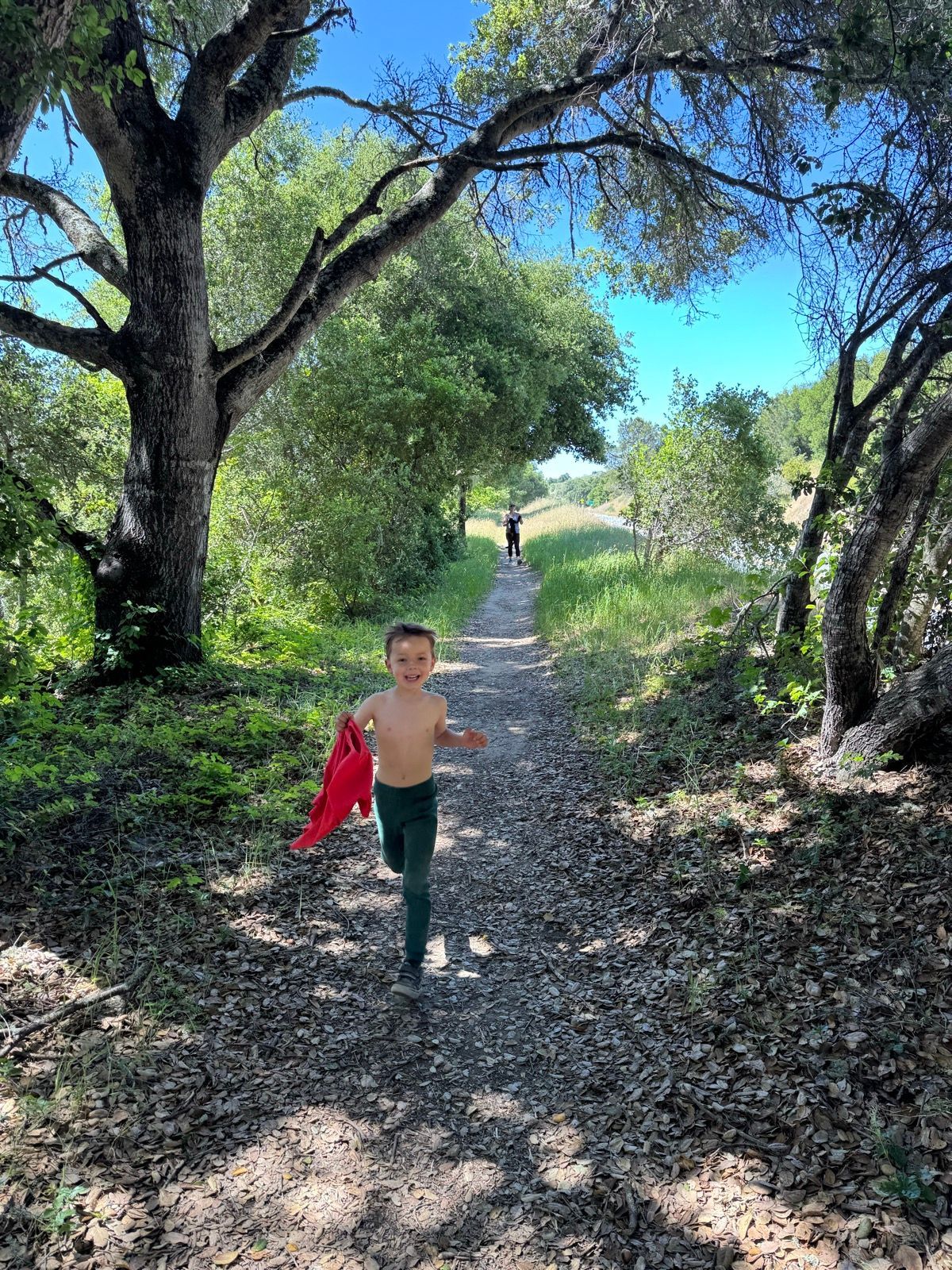 Afternoon Walk