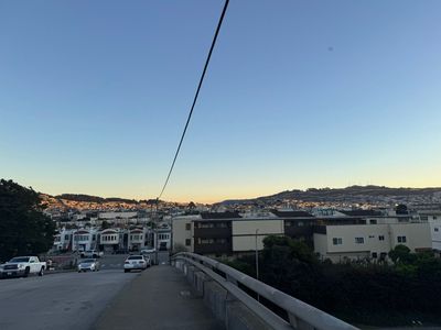 Afternoon Walk
