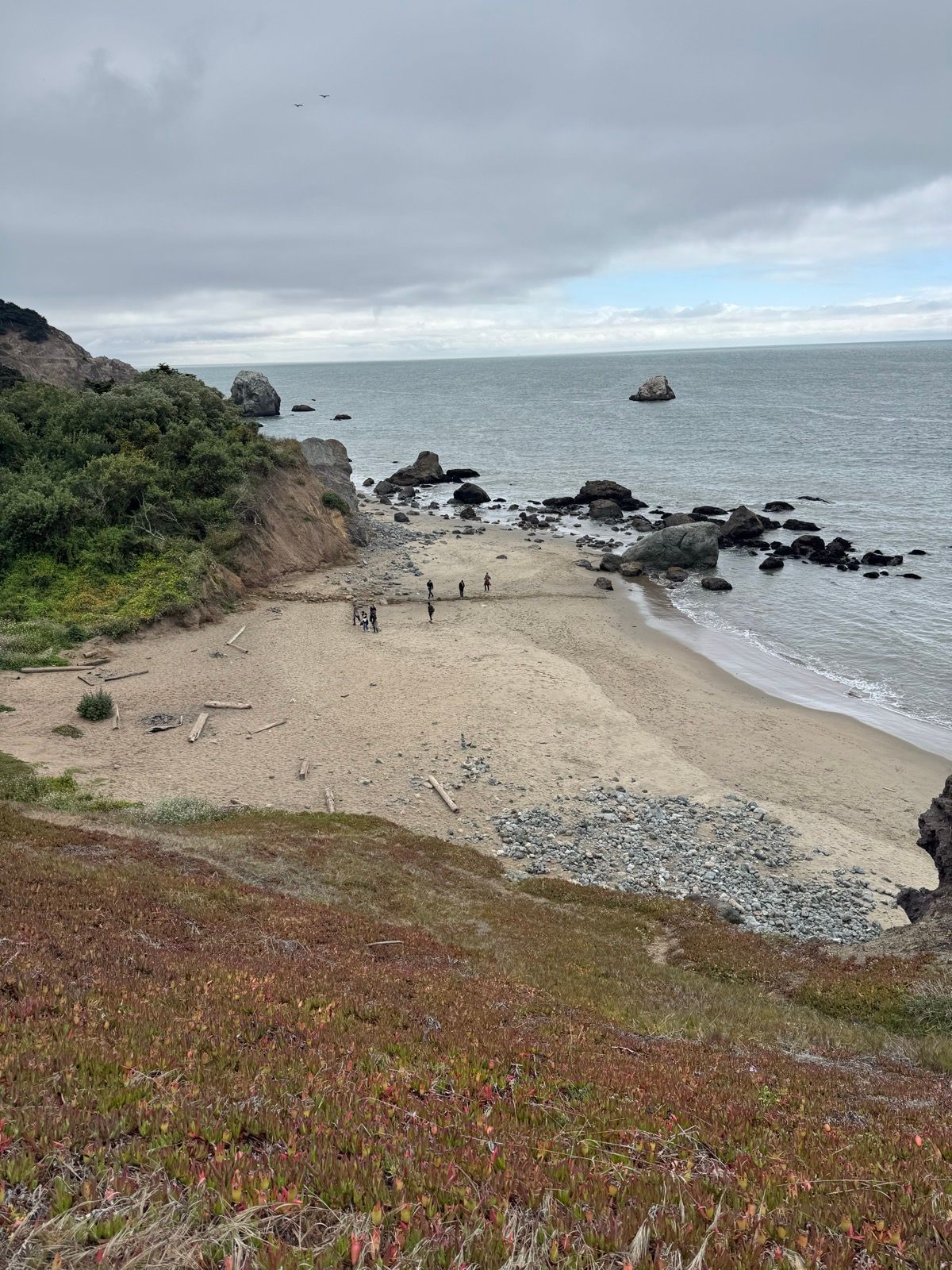 Afternoon Walk