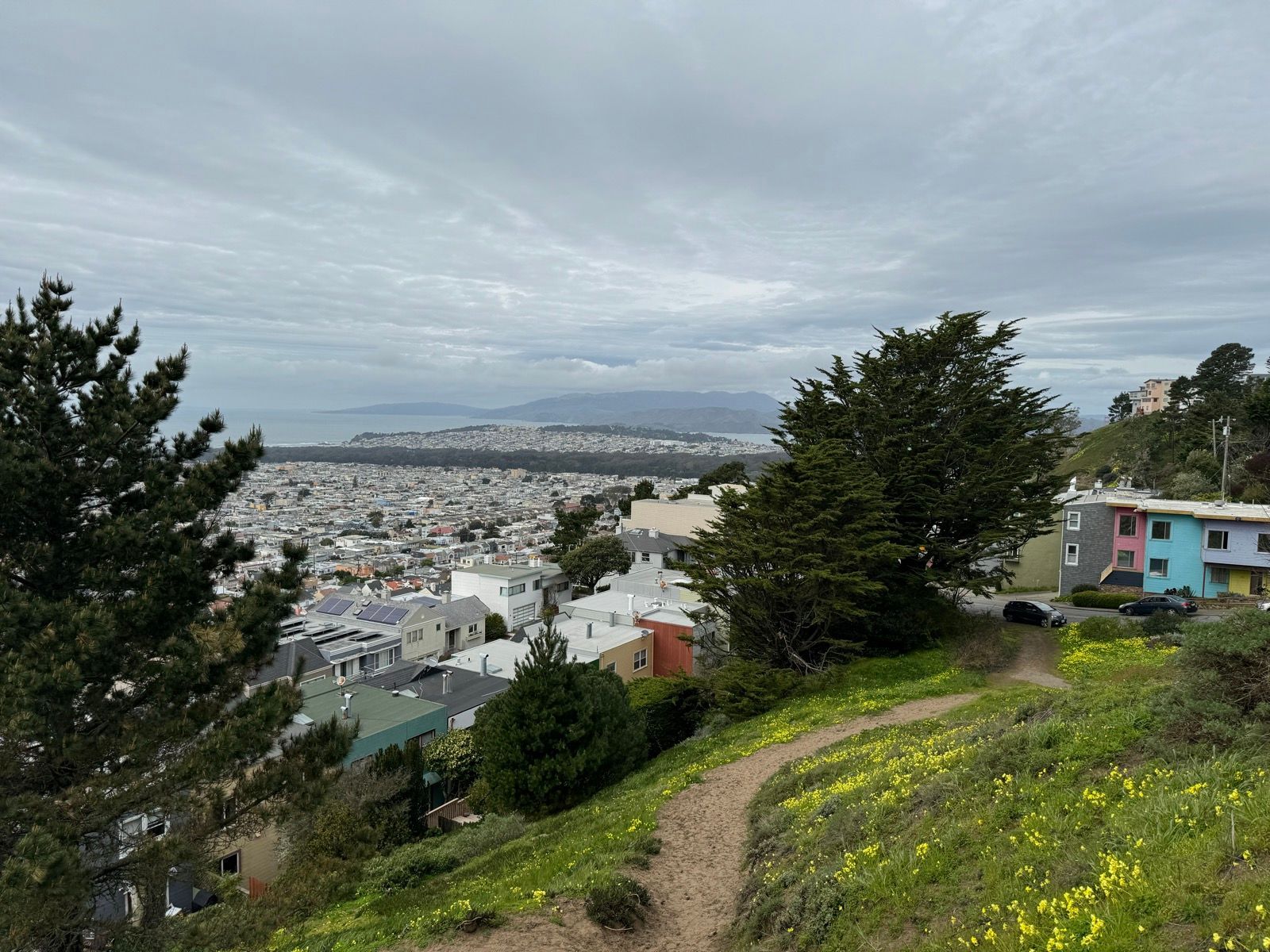Afternoon Walk