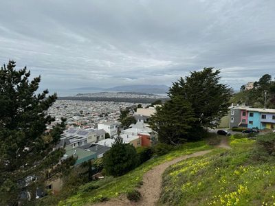 Afternoon Walk