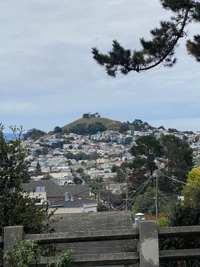 Afternoon Walk