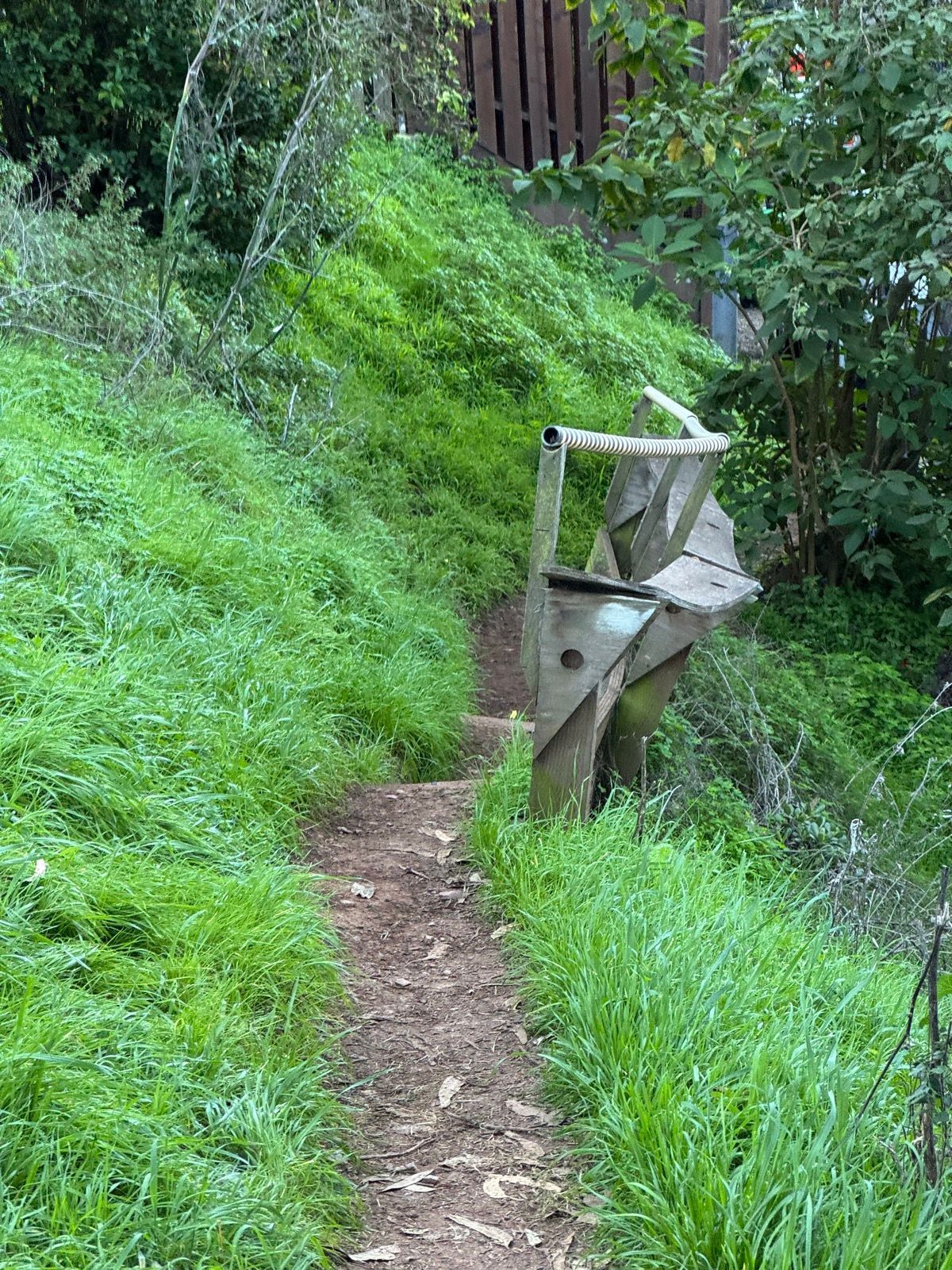 Morning Walk