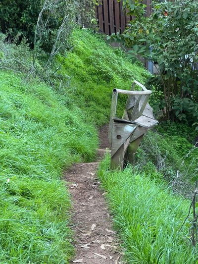 Morning Walk