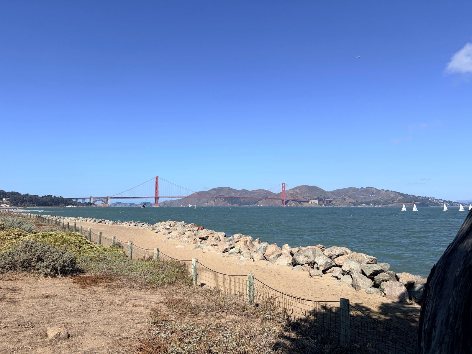 Casual city loop that accidentally almost became a Hawk Hill ride