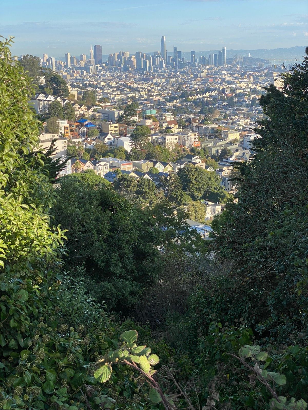 Morning Walk