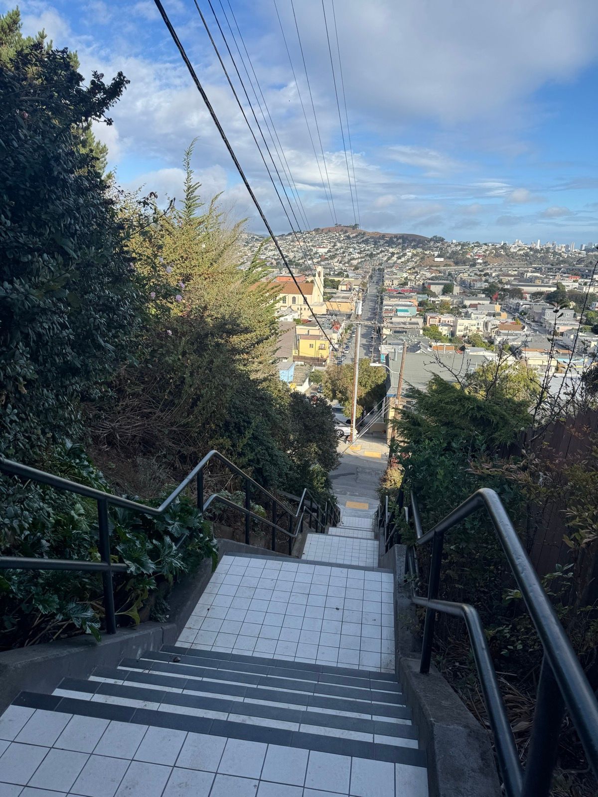 Morning Walk