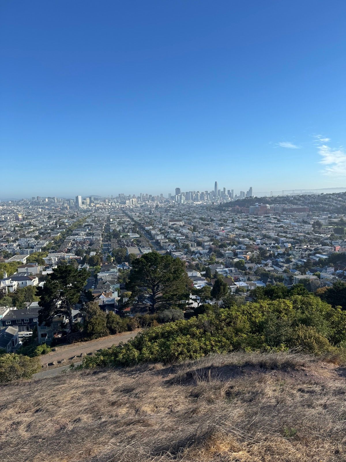 Morning Walk