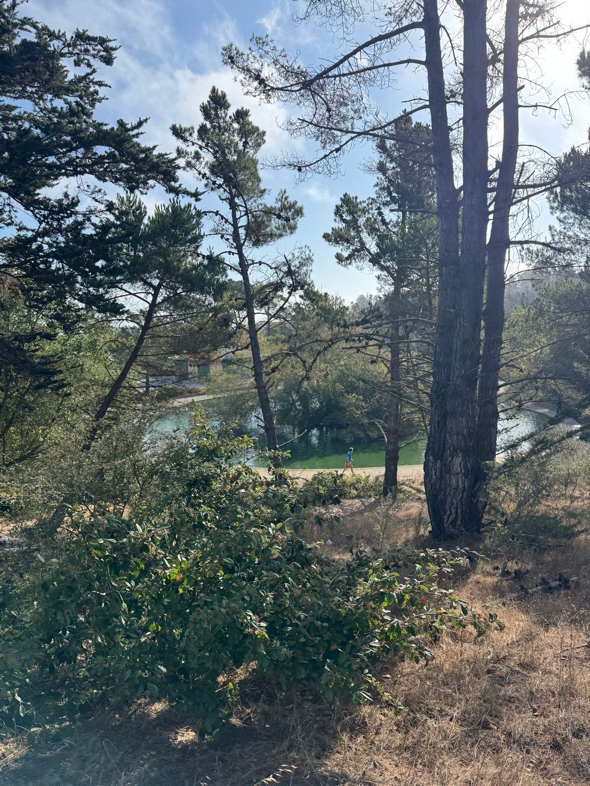 Morning Walk