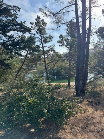 Morning Walk