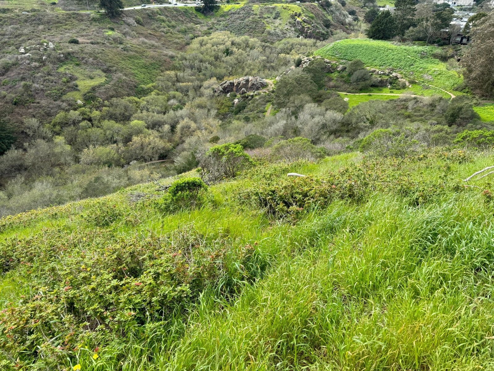 Afternoon Walk