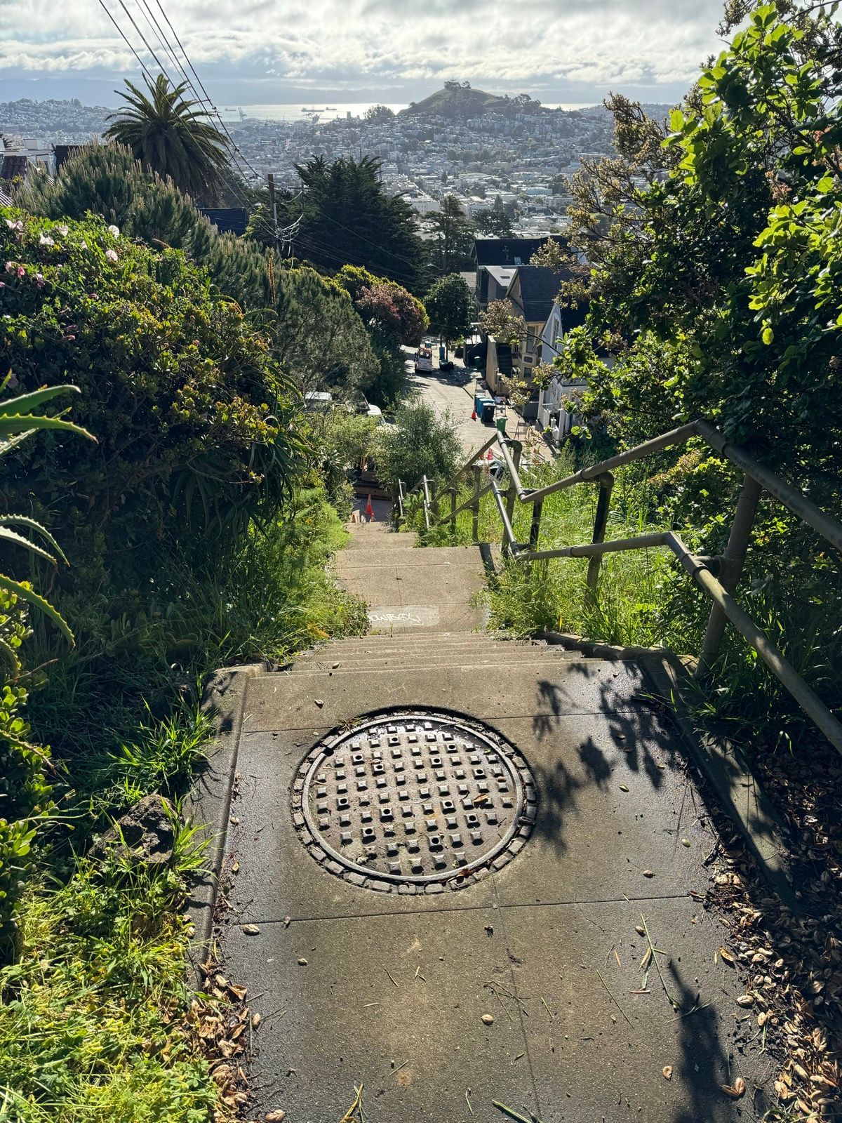 Morning Walk