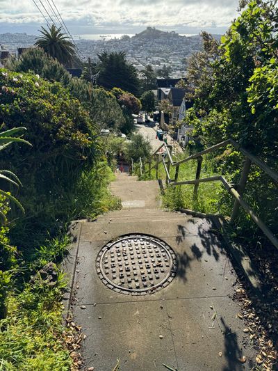 Morning Walk