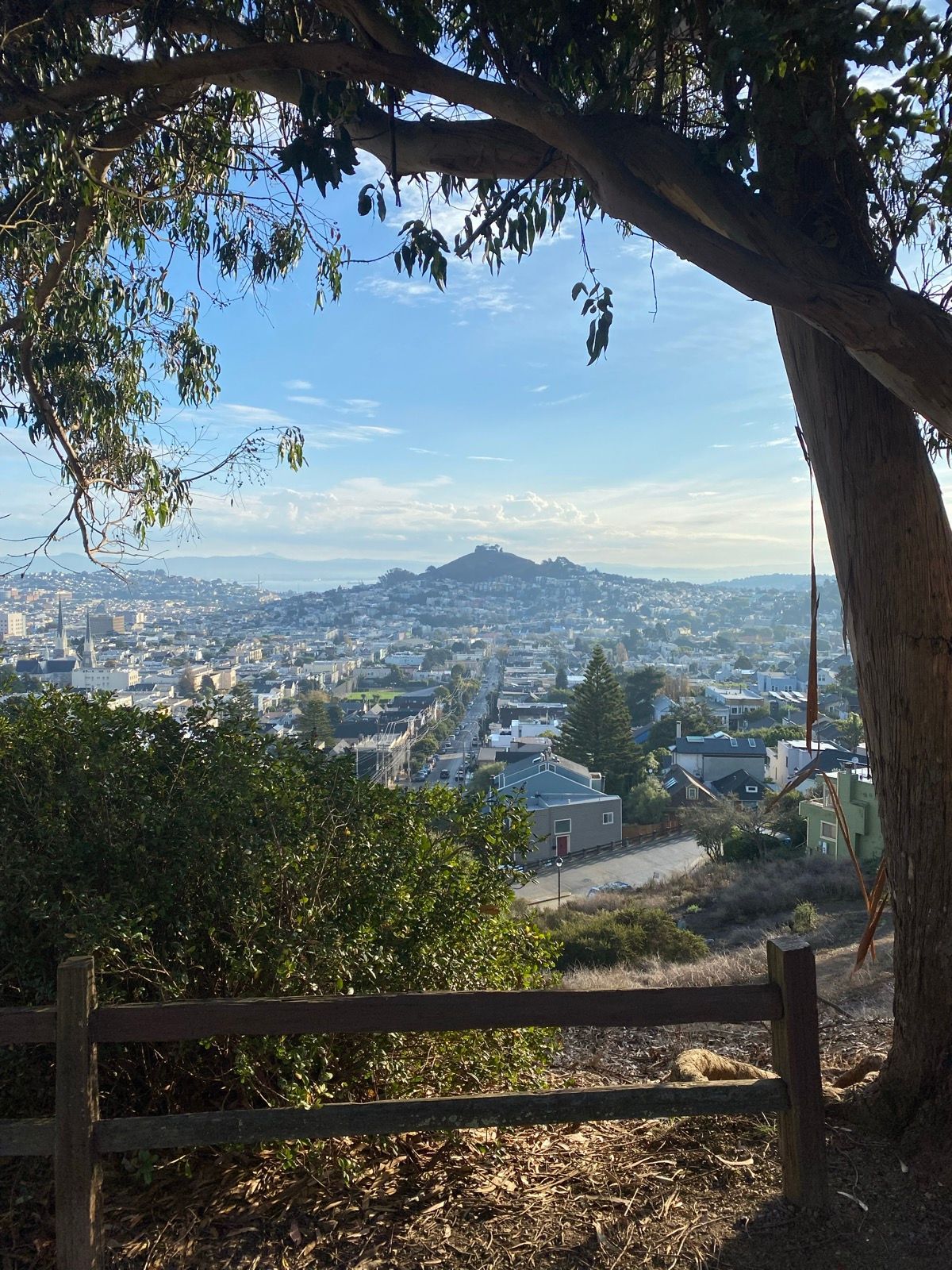 Morning Walk