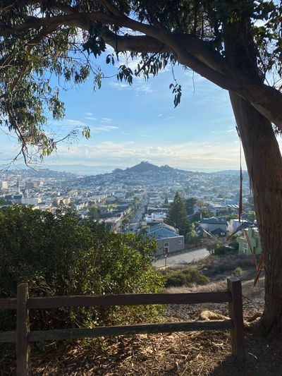 Morning Walk