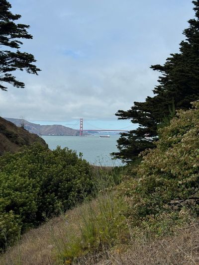 Afternoon Walk