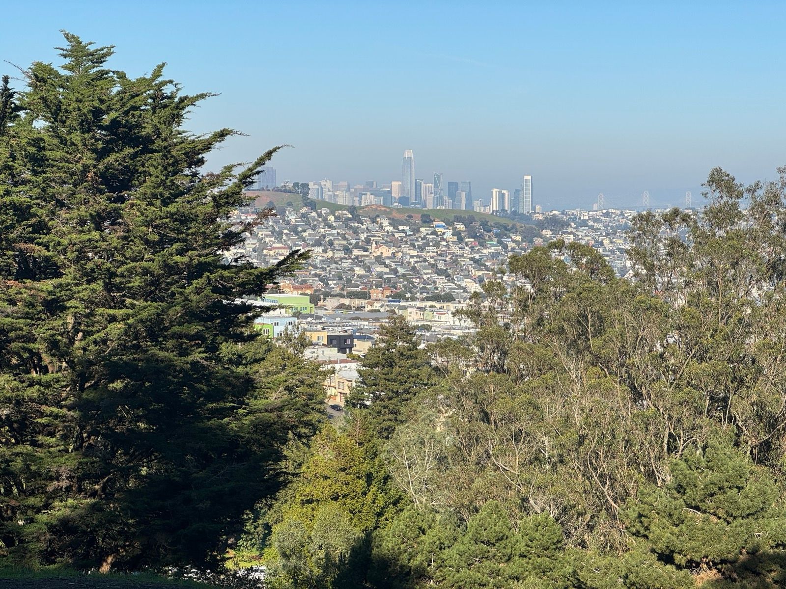 Afternoon Walk