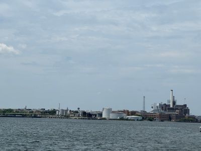 hot a f, still not gonna jump in the harbor
