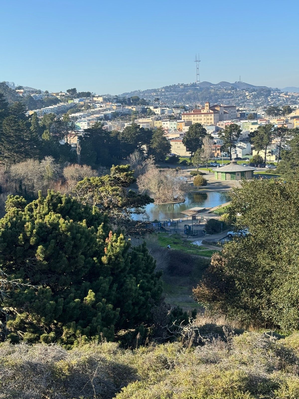 Afternoon Walk