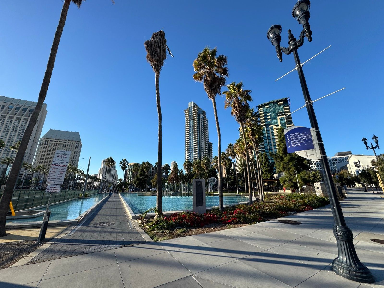Afternoon Walk