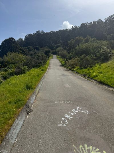 Afternoon Walk
