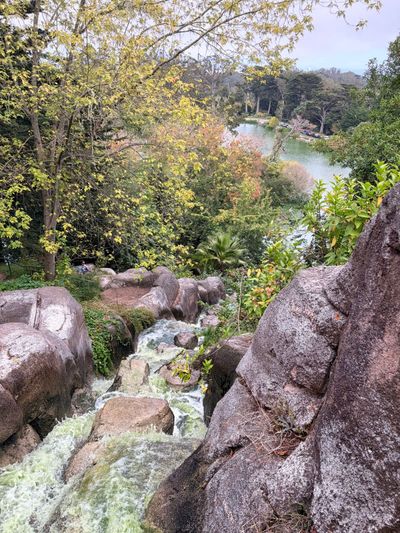 The return of Huntington Falls