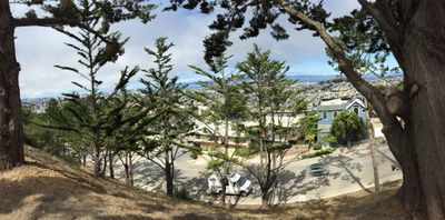 Afternoon Walk