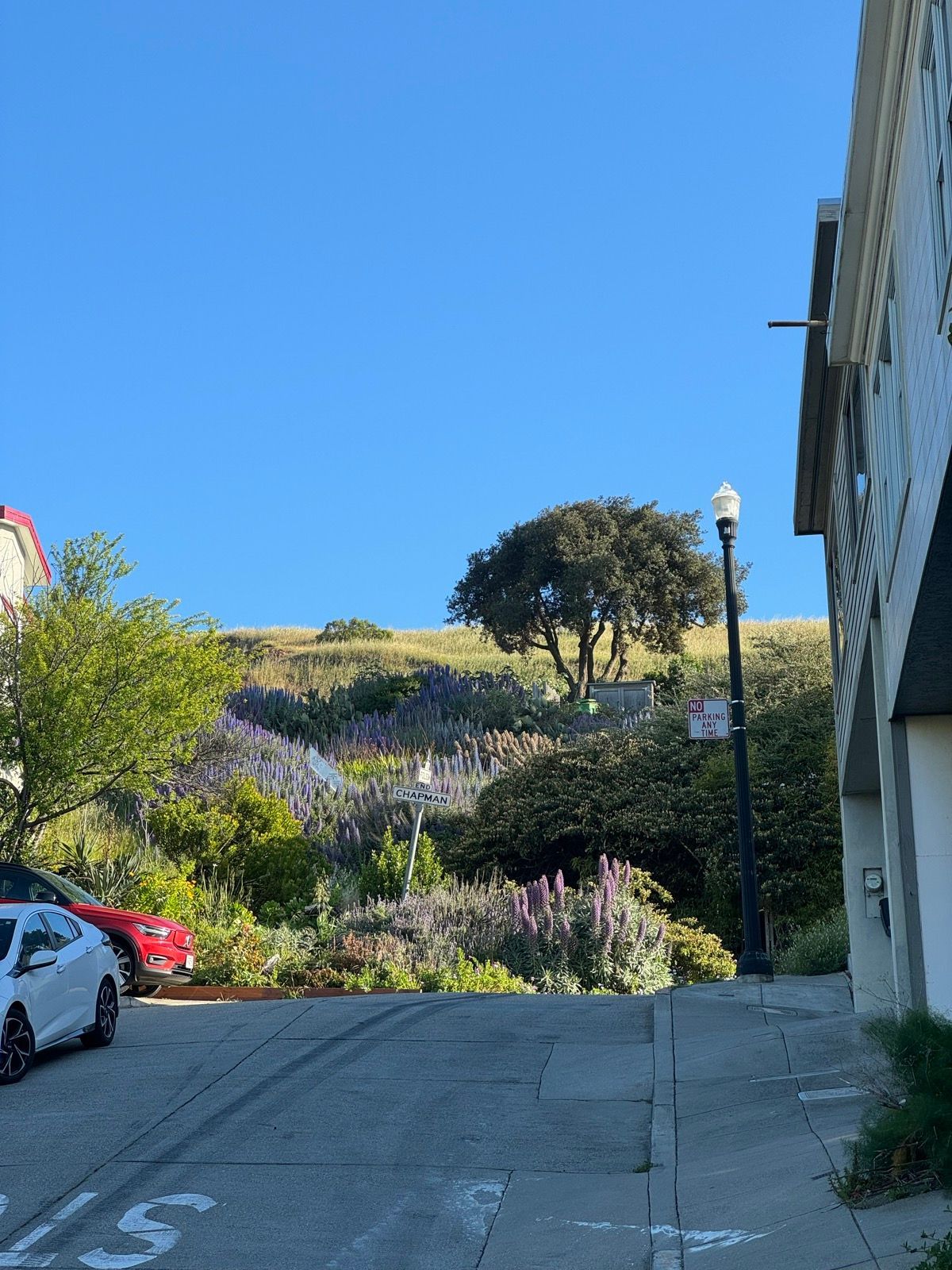 Morning Walk