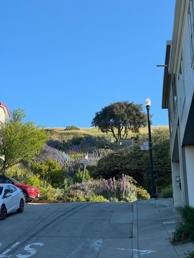 Morning Walk