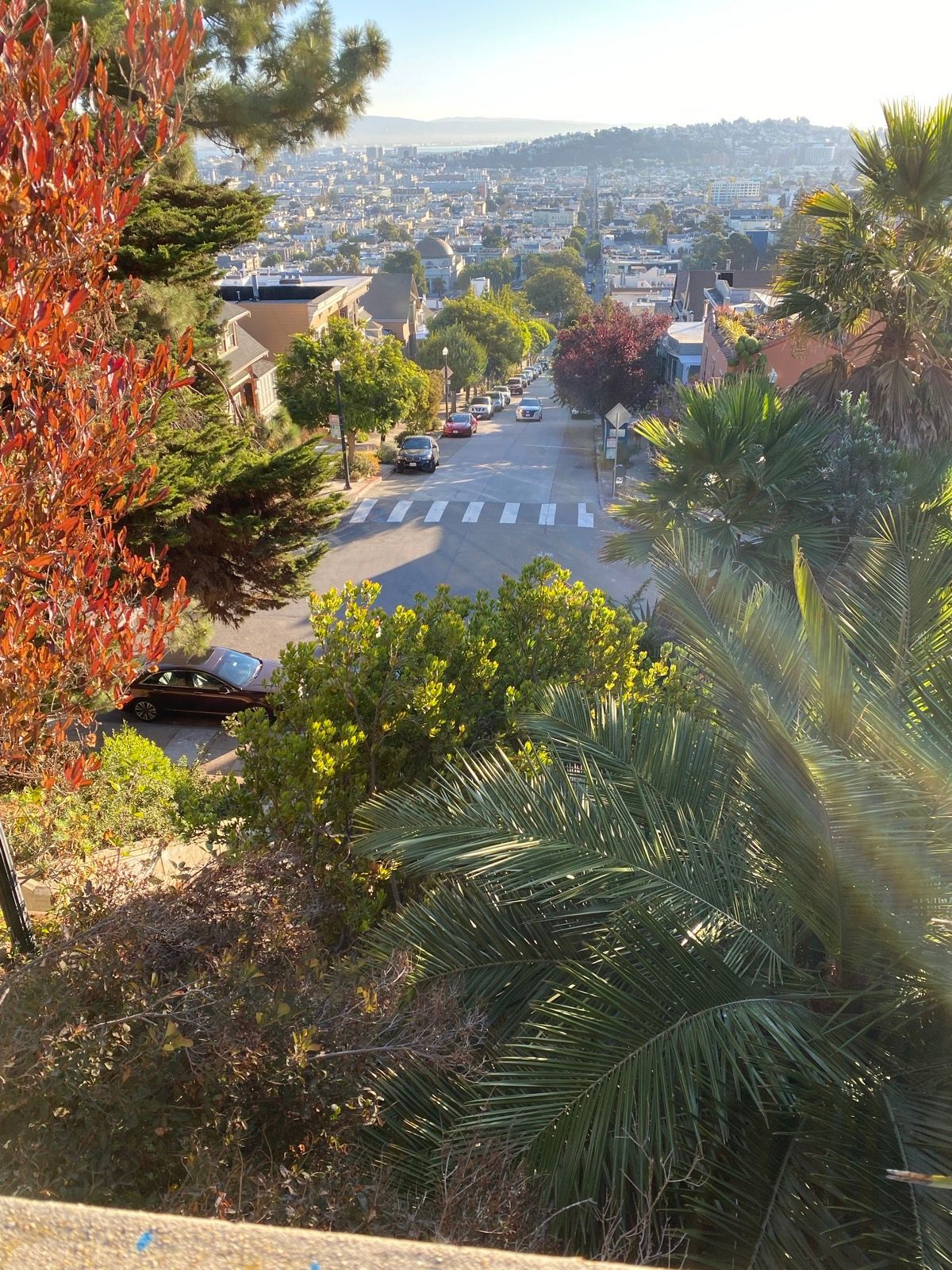 Morning Walk