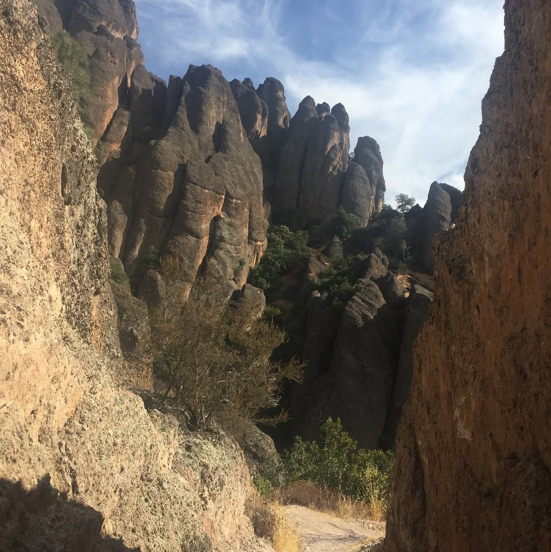 Balconies to Old Pinnacles to High Peaks, 2,400 of elevation change over 8.6 miles.