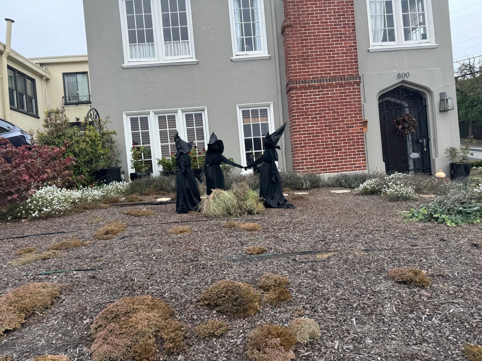 looks like it's spoopy season