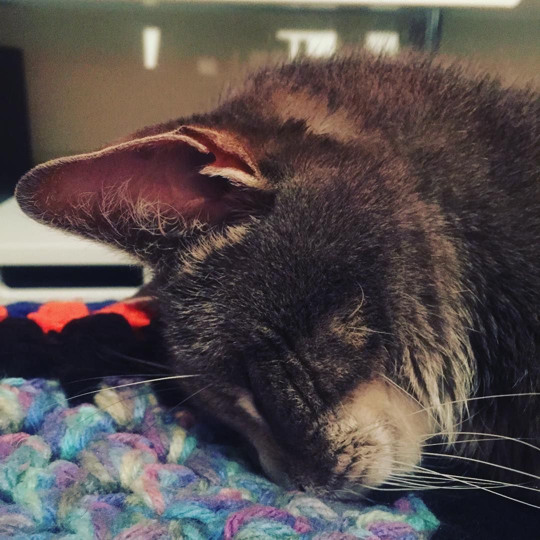 sleepin' face down