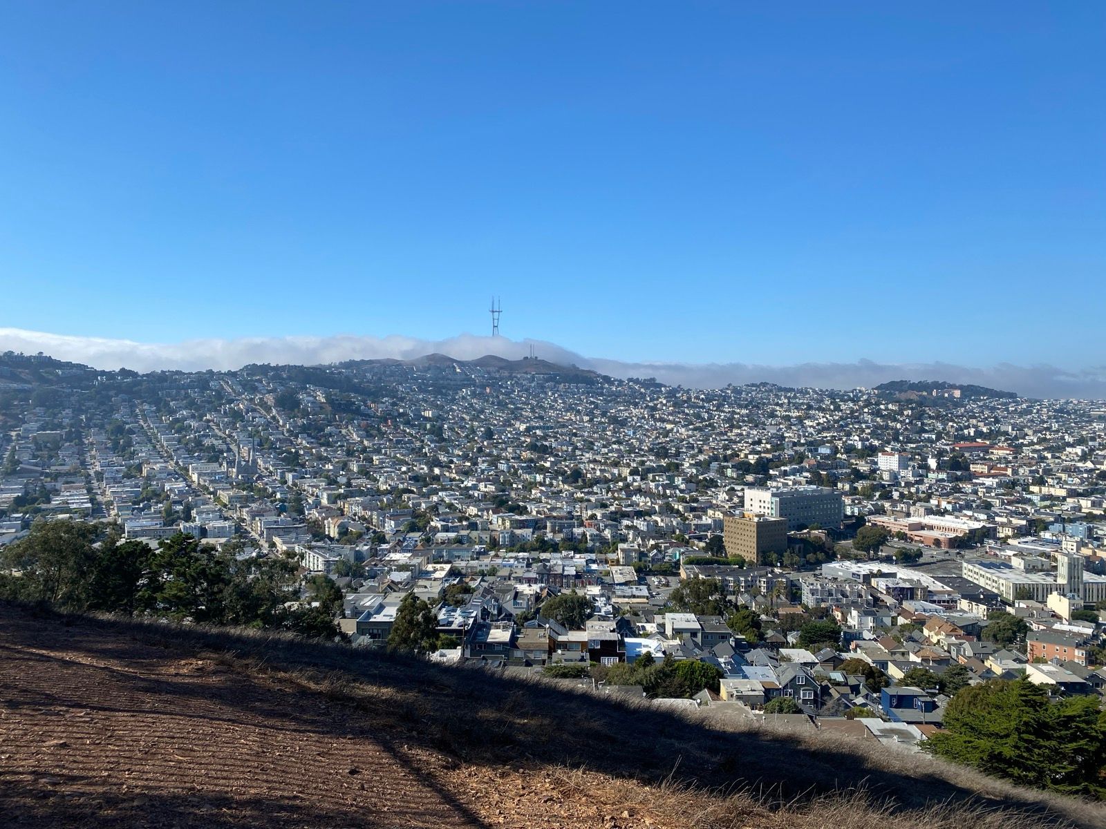 Afternoon Walk