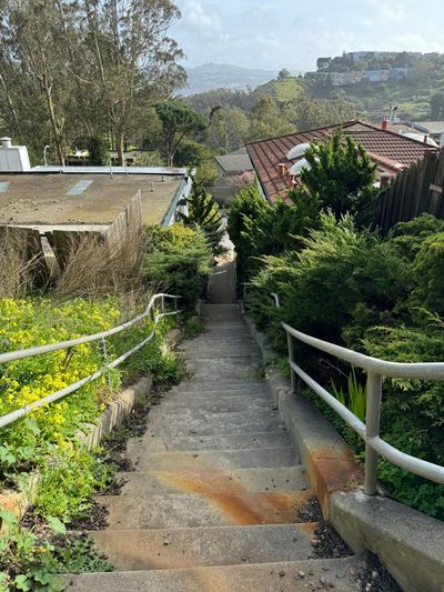 Afternoon Walk