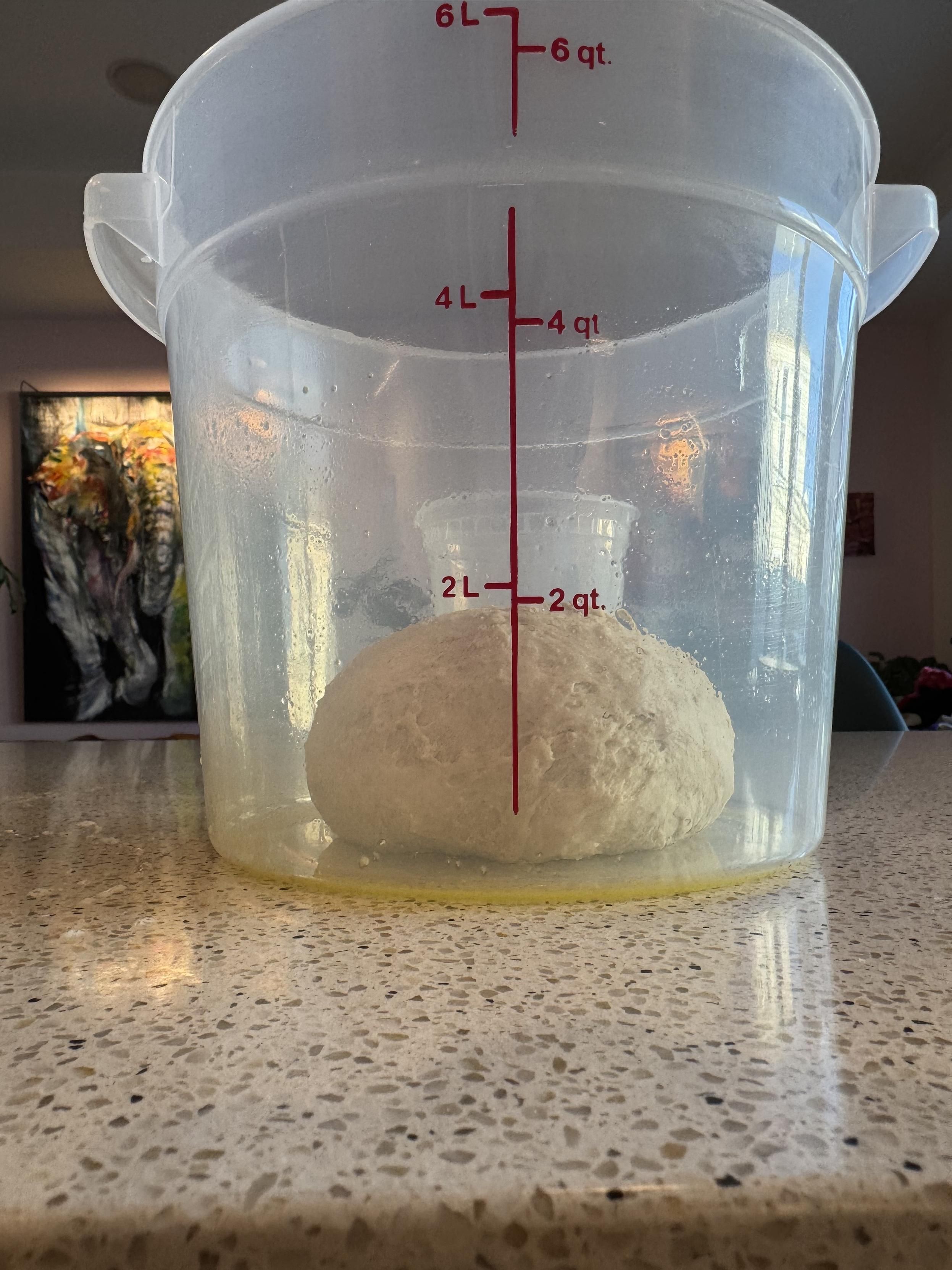 A clear plastic 6L fermentation tub, lightly oiled with olive oil, with a tight ball of dough on the bottom, in the center, immediately after mixing. There are about 2” of empty space around the ball on the bottom and the top center nearly reaches the 2L line on the tub.