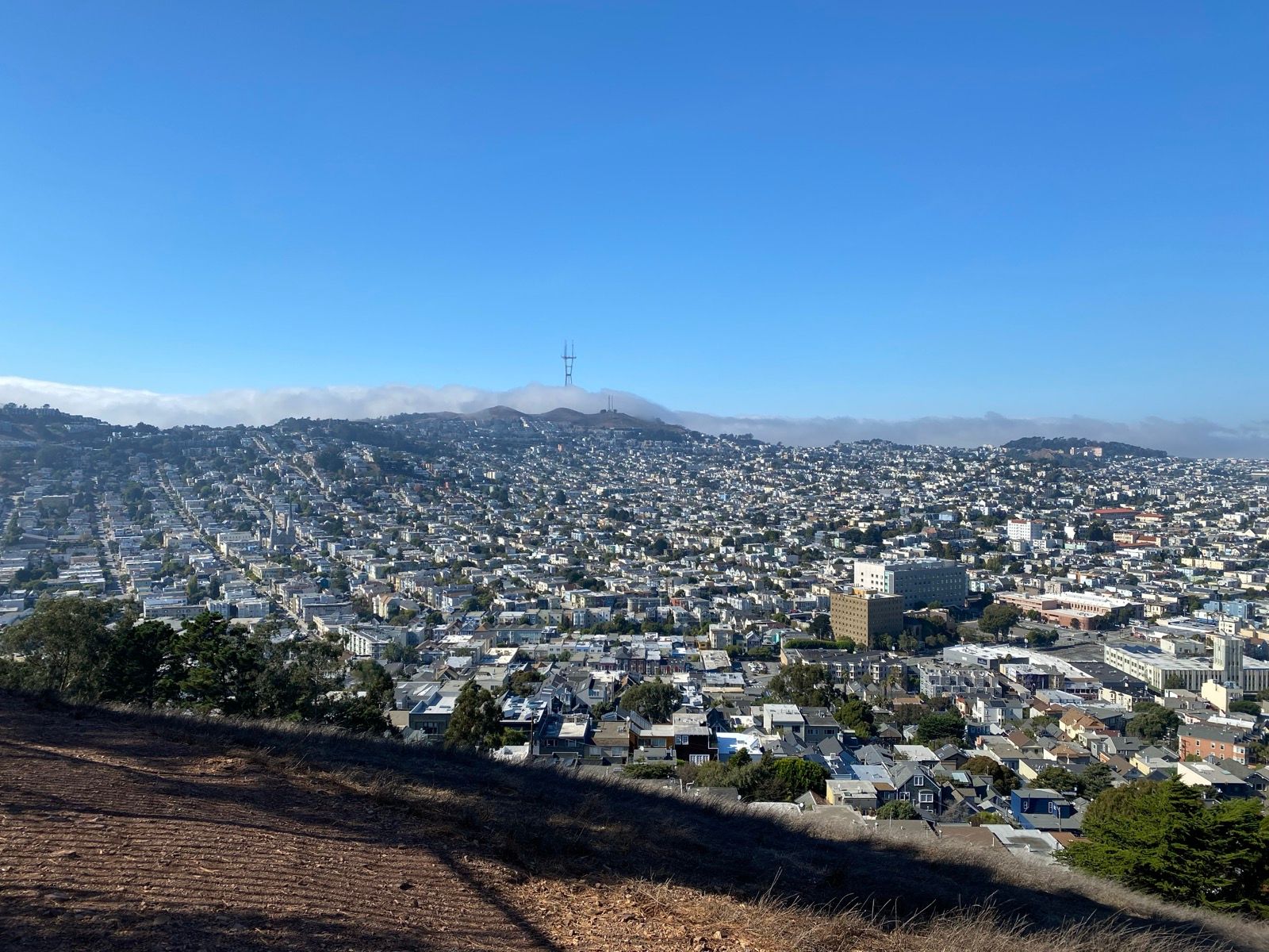 Afternoon Walk