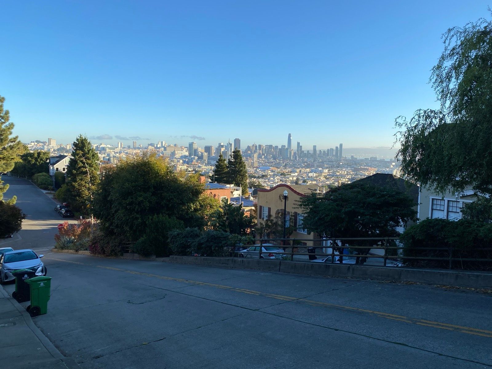 Morning Walk