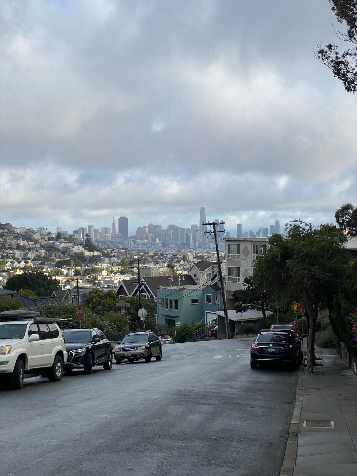 Morning Walk
